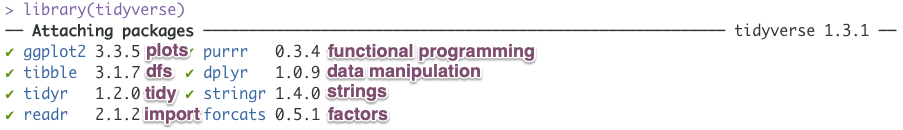 The packages loaded with the tidyverse: ggplot2, tibble, tidyr, readr, purrr, dplyr, stringr, forcats